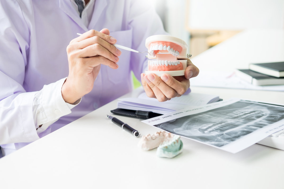 Concentrated dentist sitting at table with jaw samples tooth model in dental office professional dental clinic.
